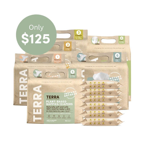 Best Subscription Bundle TERRA