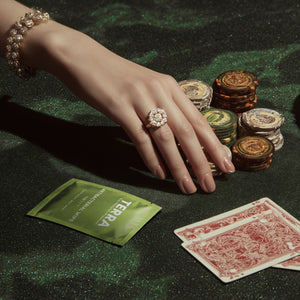 Terra Antibacterial Wipes TERRA NZ