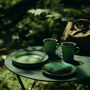 Terra Dishwashing Wipes TERRA NZ