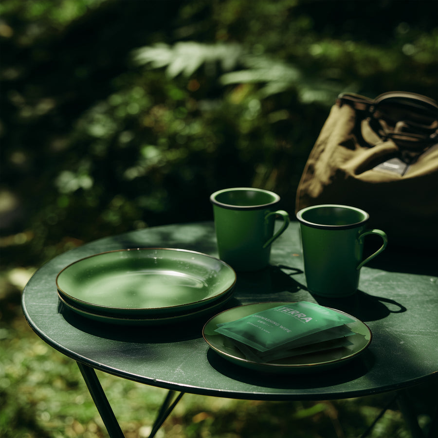 Terra Dishwashing Wipes TERRA NZ