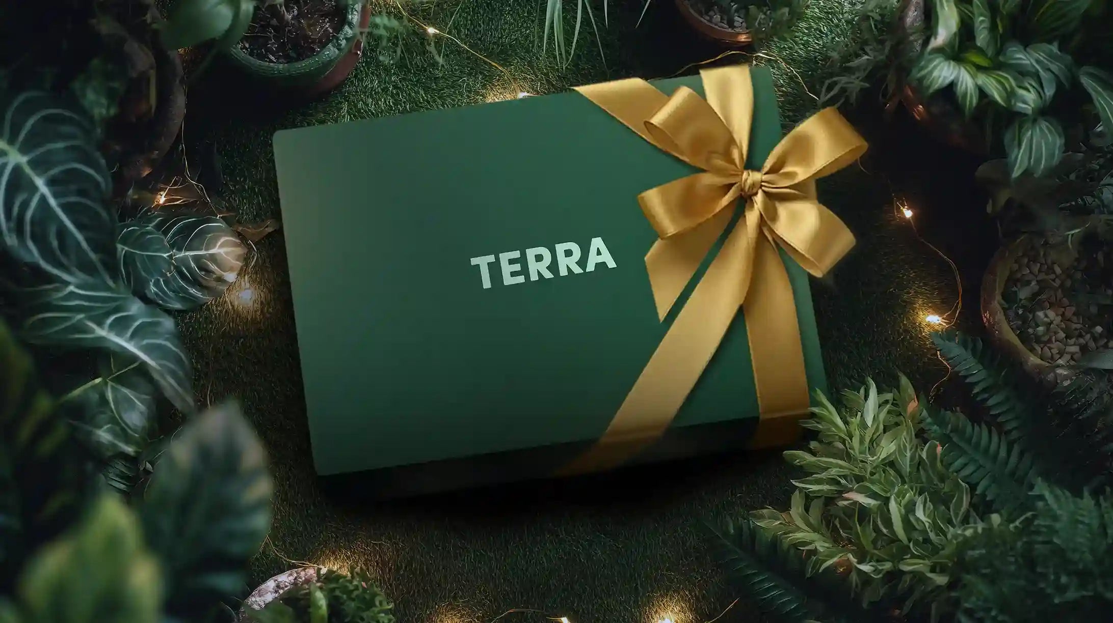 Terra Gift Box